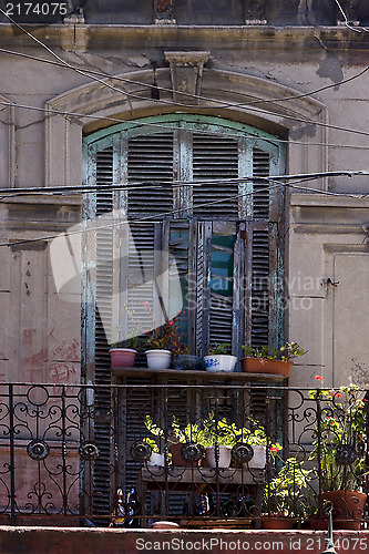 Image of venetian blind and flower 