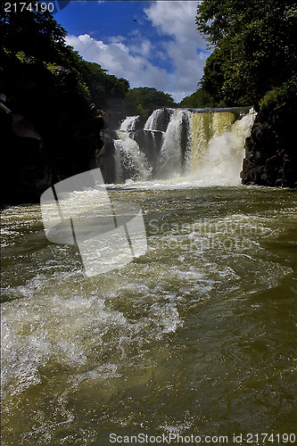 Image of  water fall gran riviere in mauritius