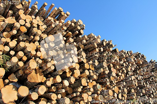 Image of Large Stack of Logs and Blue Sky