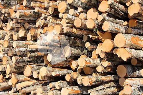 Image of Stack of Logs Detail