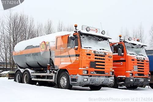 Image of Row of Orange Scania Trucks