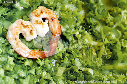 Image of Shrimp Heart