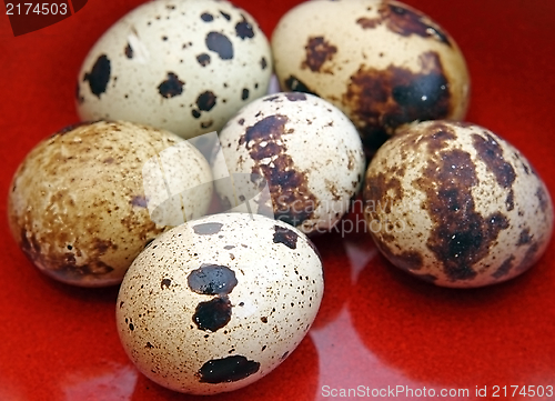 Image of quail eggs in red bowl