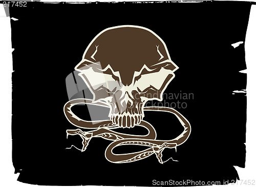 Image of human skull