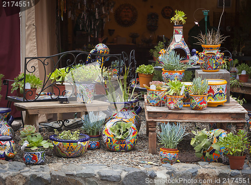 Image of Outdoor Shop of Decorative Pots and Succulents