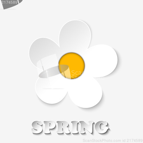 Image of Beautiful Spring Flowers White Background 