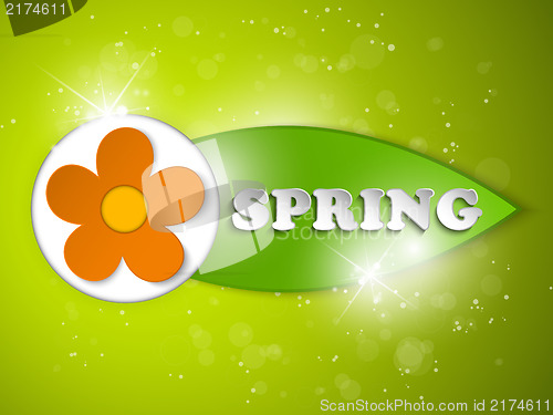 Image of Beautiful Spring Flowers Green Background 