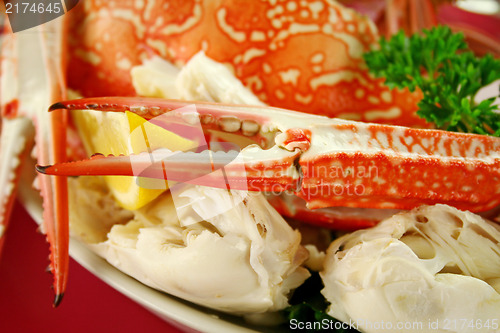 Image of Fresh Cracked Sand Crab
