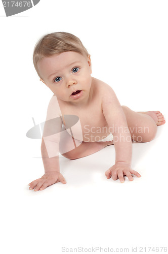 Image of Baby boy crawling in studio isolated on white