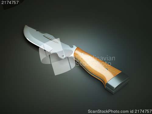 Image of Weapon: hunting knife with large blade