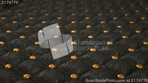 Image of Alligator skin background with pattern and buttons