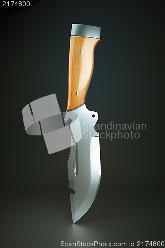 Image of Hunting knife with wooden handle
