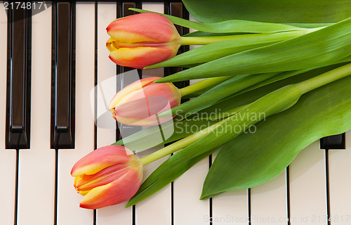 Image of Music and flowers