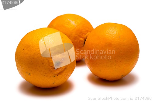 Image of Oranges