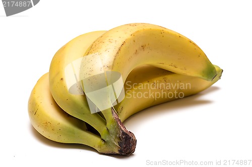 Image of Bananas