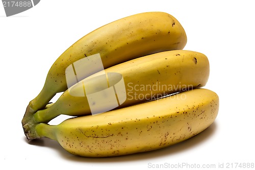 Image of Bananas