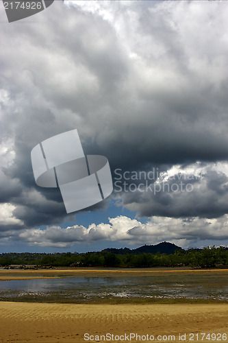 Image of cloudy rain   river   palm  