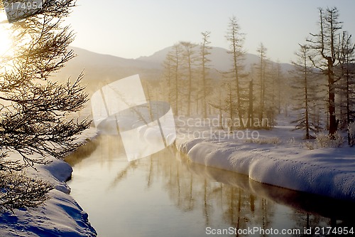 Image of The wood river in the morning