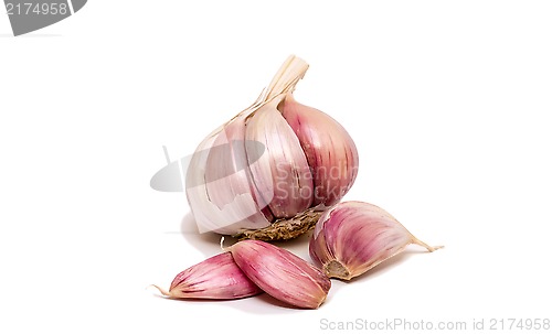 Image of Garlic