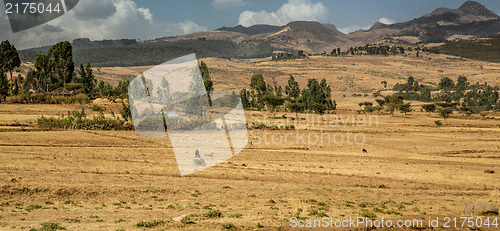 Image of Suba Landscape