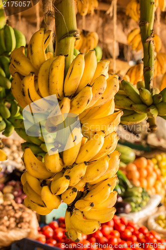 Image of Banana bunch at a local market