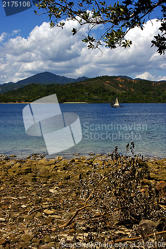 Image of branch and lagoon