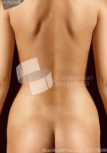 Image of back