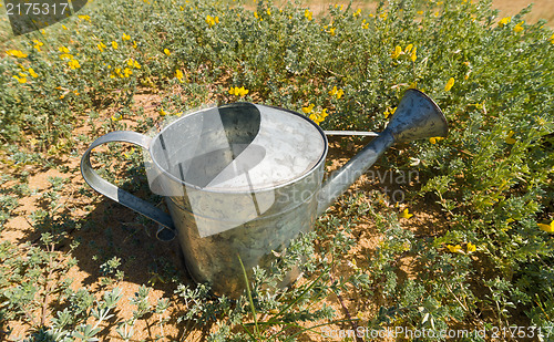 Image of Watering can