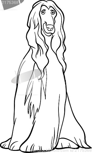 Image of afghan hound dog cartoon for coloring book