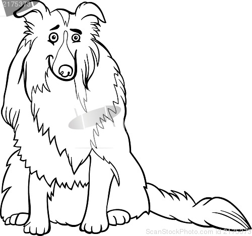 Image of collie dog cartoon for coloring book