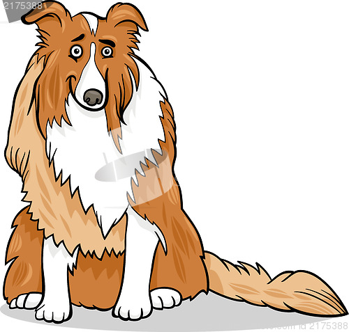 Image of collie purebred dog cartoon illustration