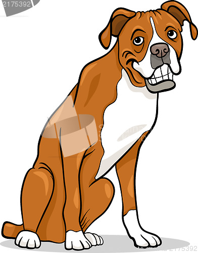 Image of boxer purebred dog cartoon illustration