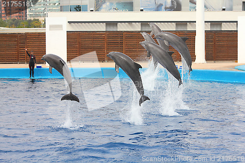 Image of Valencia aquarium