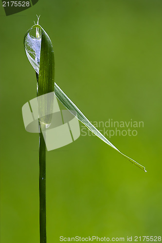 Image of web and the abstract