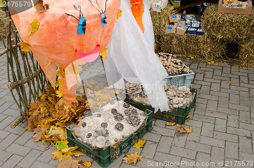 Image of delicatessen natural ecologic mushroom street fair 