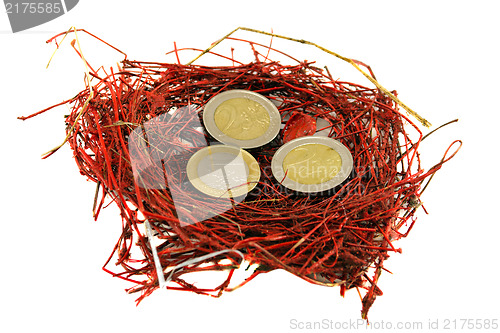 Image of red bird nest euro coins money concept white 