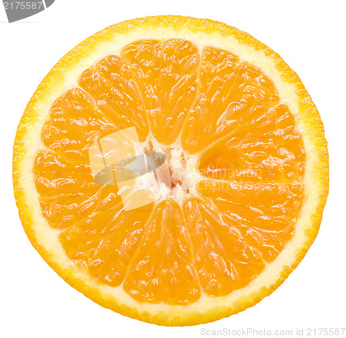 Image of orange slice