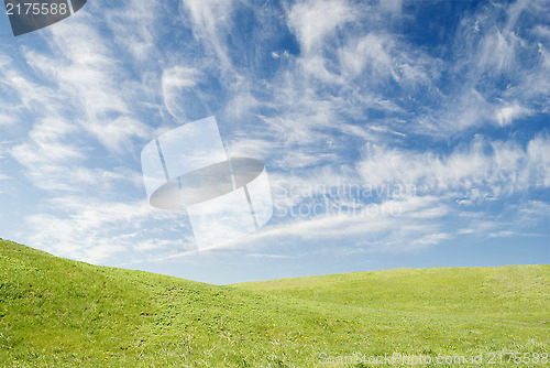 Image of summer landscape