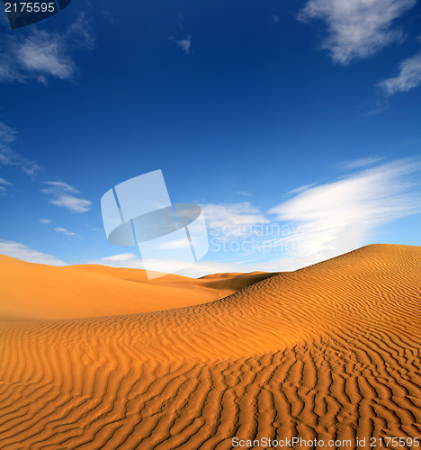 Image of evening desert landscape