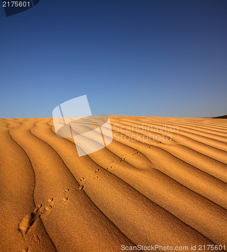 Image of footprint on sand dune in desert