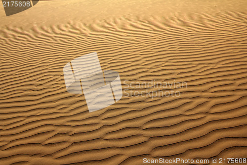 Image of sand in desert