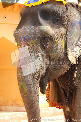 Image of ornate elefant in India