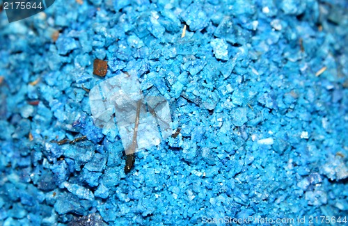 Image of Spice blue