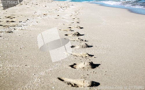 Image of Footprints in the Sand