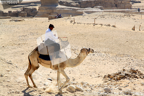 Image of Egyptian policeman on a camel