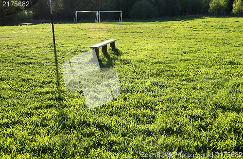 Image of Lawn grasses