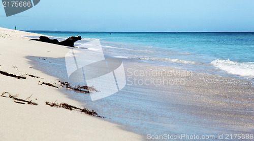 Image of Seascape at the beach