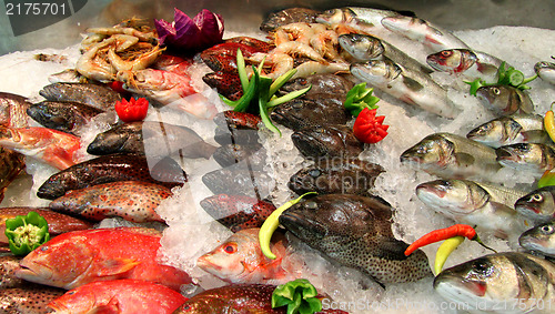 Image of Frozen fish