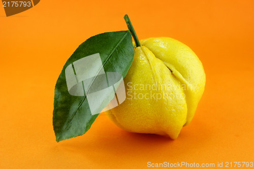 Image of lemon