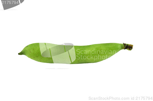 Image of broad bean pods and beans